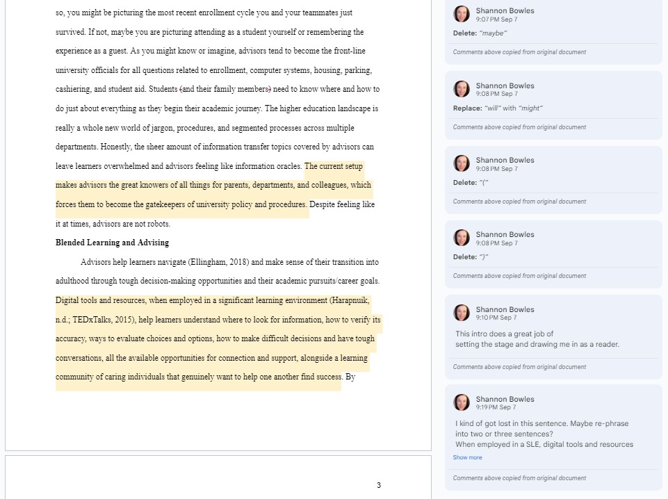 Screenshot of Google Doc sharing/comments of my feed forward, questions, and suggestions to Shannon.